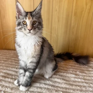 Freya