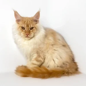 Tanos