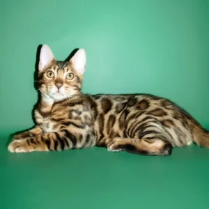 Oskar